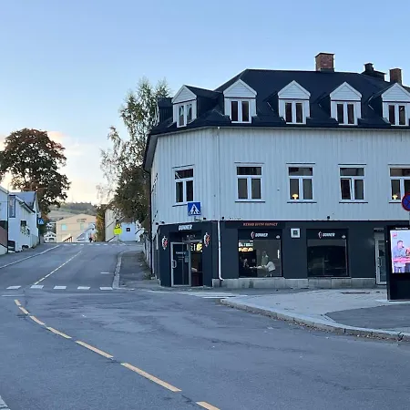4-newly Renovated In The Middle Of Centre * Gjøvik